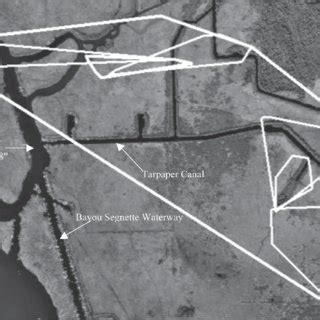 Nutria locations by habitat type in relation to area proportions for ...