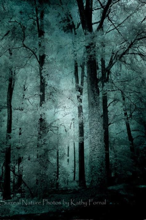 Surreal Nature Photography Haunting Woods Forest Trees Mint - Etsy