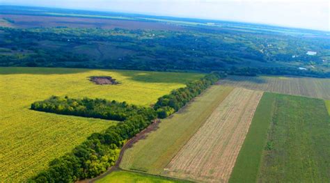 Indo-European Languages Originated in Pontic-Caspian Steppe, Research Suggests | Sci.News