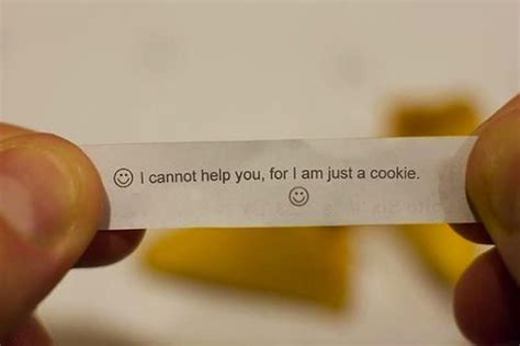 20 Funny Fortune Cookie Sayings To Crack You Up