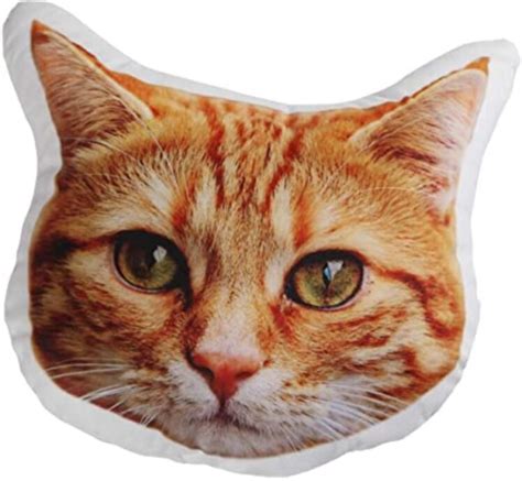 How are The Custom Cat Pillows Advantageous? - The Frisky