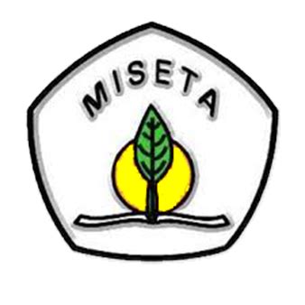 MISETA