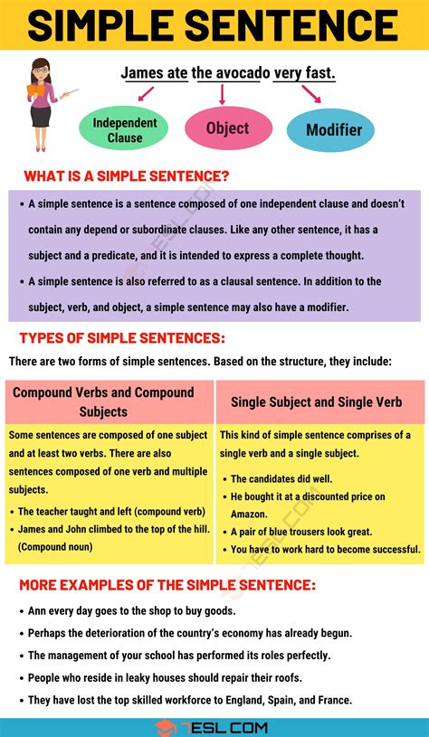 Basic Rules Of English Grammar Sentence Structure - Dorothy Jame's Reading Worksheets