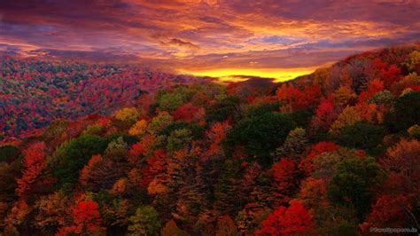 Colourful Autumn Wallpapers - Wallpaper Cave