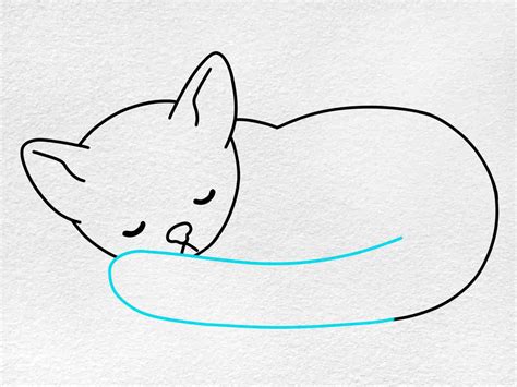 Sleeping Cat Drawing - HelloArtsy