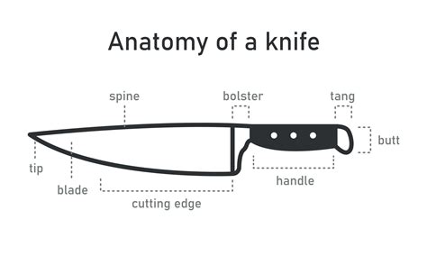 The Anatomy of Chef Knife. Tool for cooking, hunting, military. Kitchen utensils. Side view ...