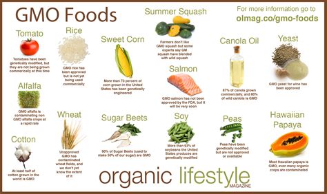 Foods That Are GMO