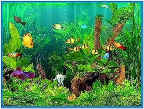 Dream Aquarium Screensaver 1.1770 - Download-Screensavers.biz