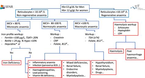 Anemia Chart Values