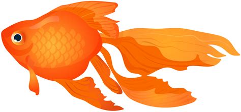 Goldfish Clipart at GetDrawings | Free download