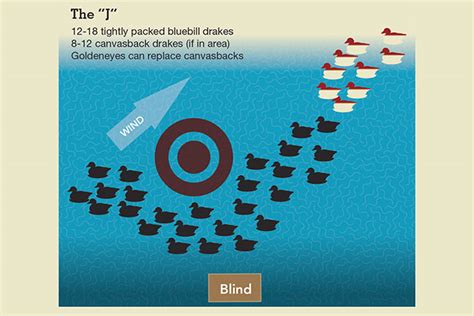 4 Classic Duck Decoy Spreads You Need to Know - Wildfowl