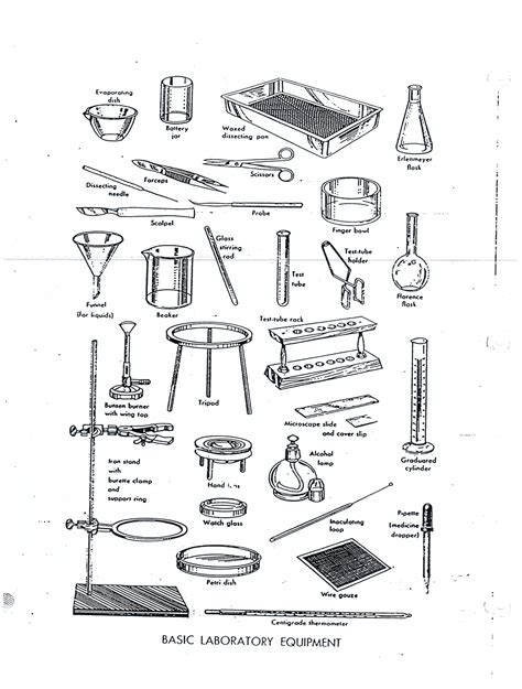 worksheet. Chemistry Lab Equipment Worksheet. Grass Fedjp Worksheet Study Site