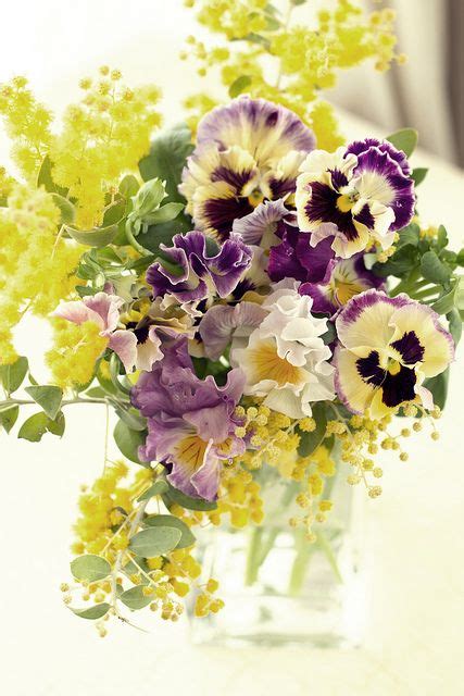 Pansy Flower Arrangements