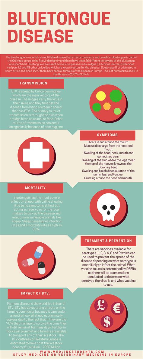 Blue tongue disease (Bluetongue Virus) [INFOGRAPHIC]