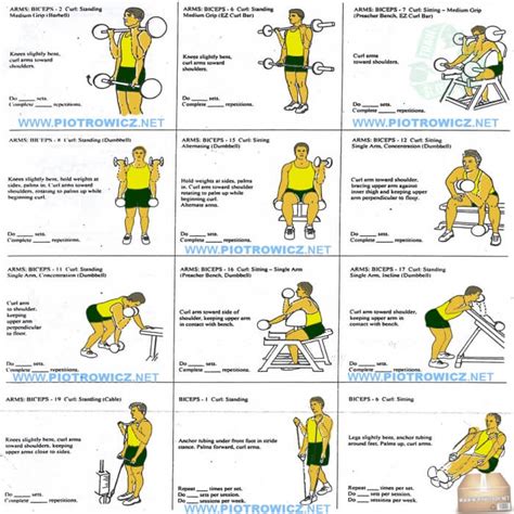 Best Biceps Exercises - Workout Plan For A Big Strong Bicep Arms - FITNESS HASHTAG - Best ...