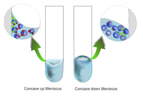 Cohesive And Adhesive Forces - Adhesion and Cohesion (PDF Download Available) - The forces ...