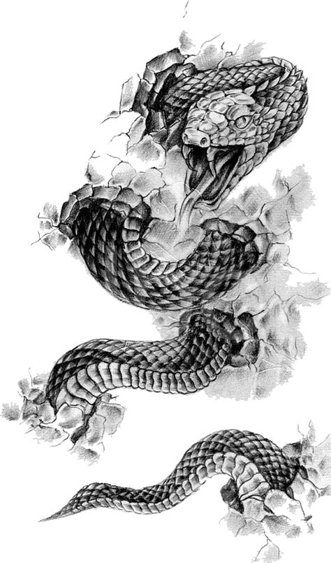 Rattlesnake Tattoo Flash Black-and-gray - snake png download - 525*892 - Free Transparent Snake ...