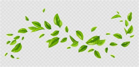 Free Vector | Fresh green leaves flying on wind