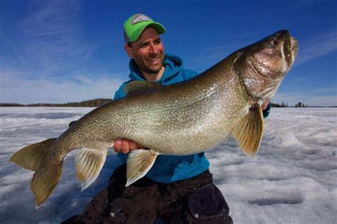 Sugar Fish: Northern Manitoba Fishing