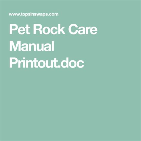 Pet Rock Care Manual Printout.doc | Pet rocks, Gifts for office, Homemade gifts