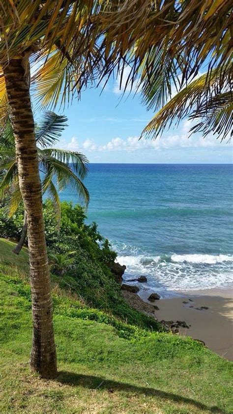 Patillas,PR | Tropical beaches, What a beautiful world, Nature pictures