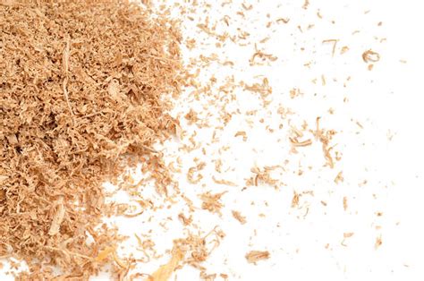 Royalty Free Sawdust Pictures, Images and Stock Photos - iStock