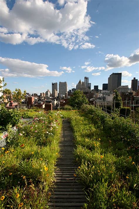 Urban Retreats: 9 Dreamy Rooftop Gardens | Apartment Therapy