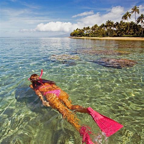 Best snorkeling spots on maui – Artofit