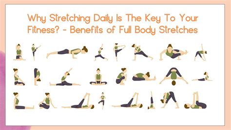 Why Stretching Daily Is The Key To Your Fitness - Benefits of Full Body ...