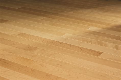 What Is Maple Flooring | Viewfloor.co