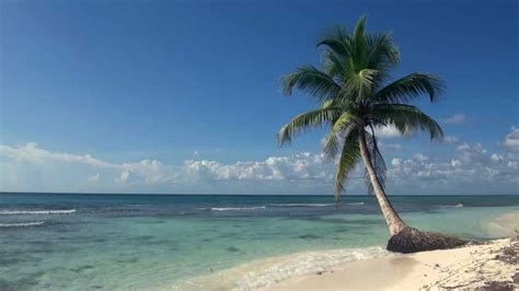 Relaxing 3 Hour Video of A Tropical Beach with Blue Sky White Sand and Palm Tree - YouTube