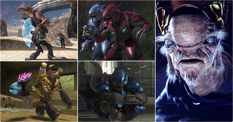 Halo: Every Covenant Species, Ranked From Weakest To Strongest