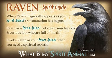 Raven Symbolism & Meaning | Spirit, Totem & Power Animal