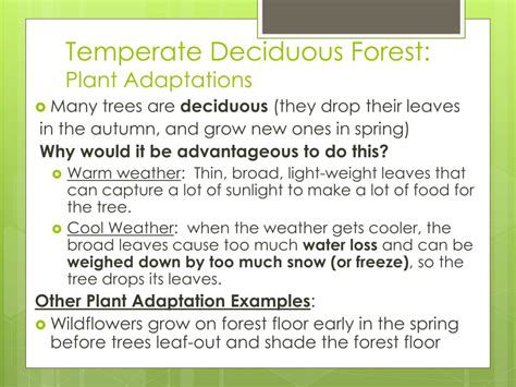 PPT - Biome Adaptations & Niches PowerPoint Presentation, free download - ID:2655272