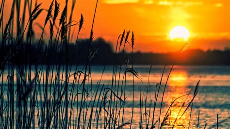 Crops Sunset Lake Wallpaper,HD Nature Wallpapers,4k Wallpapers,Images,Backgrounds,Photos and ...