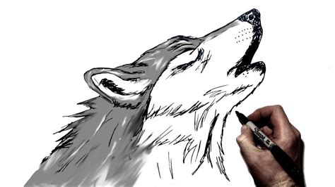 Simple Howling Wolf Drawing