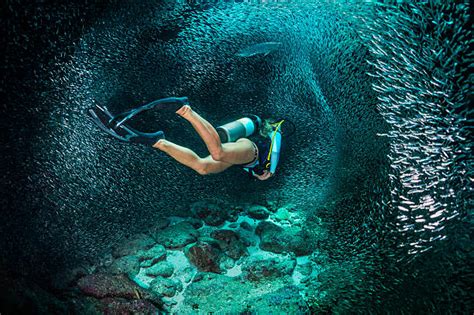 Deep Sea Diving Pictures, Images and Stock Photos - iStock