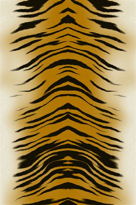 Tiger Print Background Free Stock Photo - Public Domain Pictures