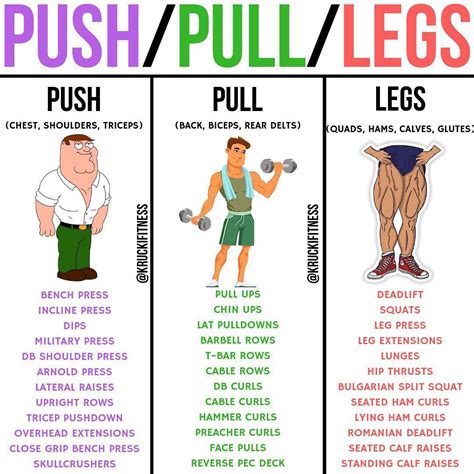 Push Pull Legs Vs 5 Day Split