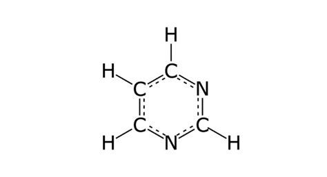 Pyrimidine: Definition, Structure, & Function I NotesBard