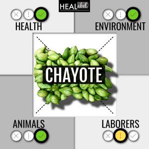 Chayote Benefits and Side Effects