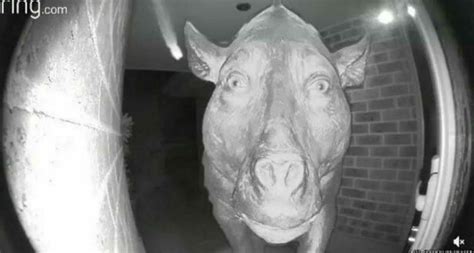 You hear somebody ring the doorbell. You check the security camera, and ...