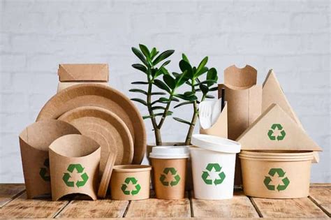 From Eco-Friendly Materials to Circular Economy: Discovering the Top Sustainability Trends in ...