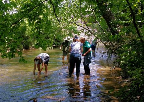 Bethany Brown of USDA NRCS at aquatic Entomology field visit to Hot House Creek near McCaysville ...