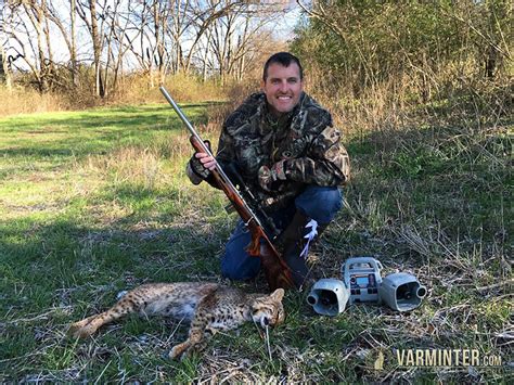 Bobcat-Hunting-5 | Varminter Magazine