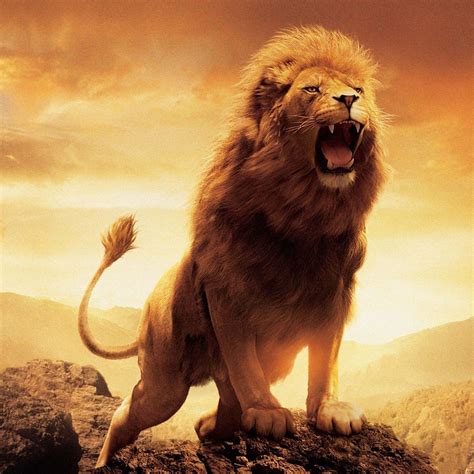 Lion Roar Wallpapers - Wallpaper Cave