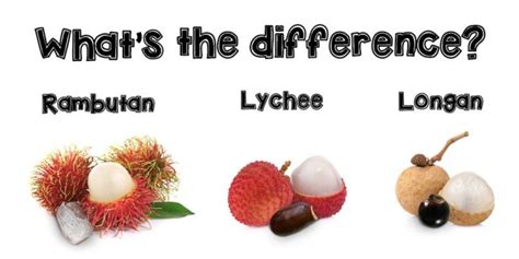 Lychee, Longan, and Rambutan | Thomas Fresh