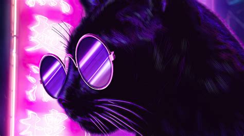 2560x1440 Cat Glasses Neon Purple Nights 4k 1440P Resolution ,HD 4k Wallpapers,Images ...