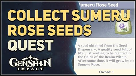 Collect Sumeru Rose Seeds Genshin Impact - Hiijo