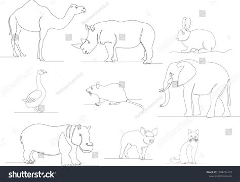 One Line Drawing Animals Set Isolated Stock Vector (Royalty Free ...